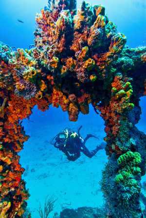 Snorkelling off North Beach