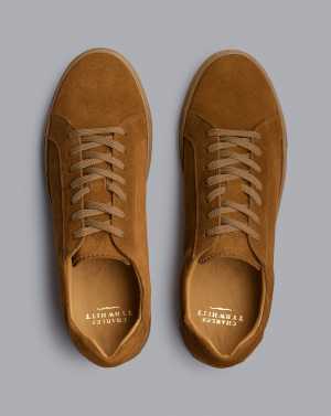 Charles Tyrwhitt Suede Trainers in Tobacco Brown