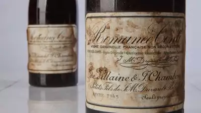 OenoFuture &ndash; how to invest in wine