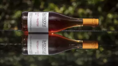 Slobodne Cutis Pinoter 2017