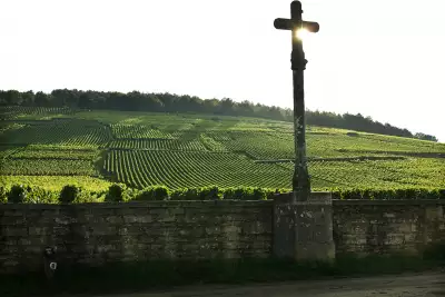 La Roman&eacute;e-Conti, Burgundy&rsquo;s most prized vineyard