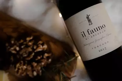 il fauno di Arcanum