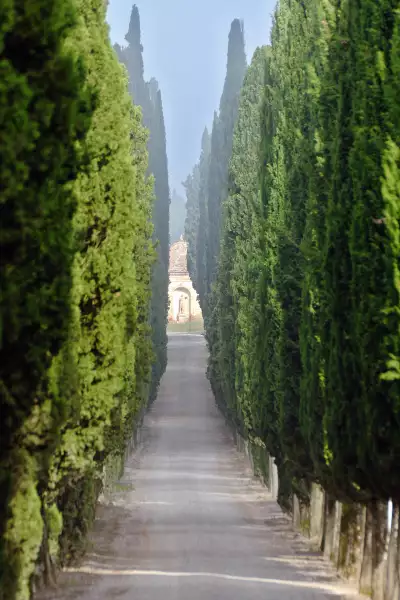 Arcanum, Italy