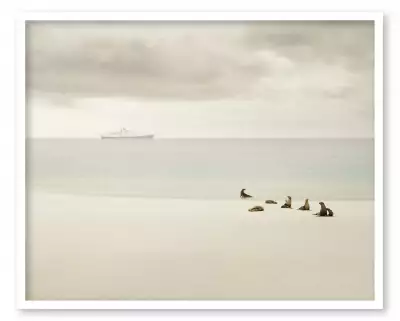 Enchanted Islands Las Encantadas by Andrea Hamilton