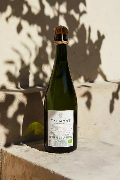 CHAMPAGNE TELMONT Reserve Brut, &pound;49.99
