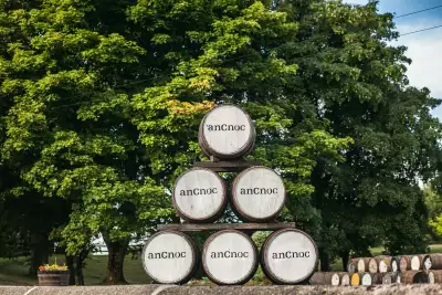 AnCnoc