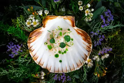 Dom Pérignon x Clare Smyth Cornish turbot, crab and Ras El Hanout broth Dom Pérignon x Clare Smyth Cornish turbot, crab and Ras El Hanout broth