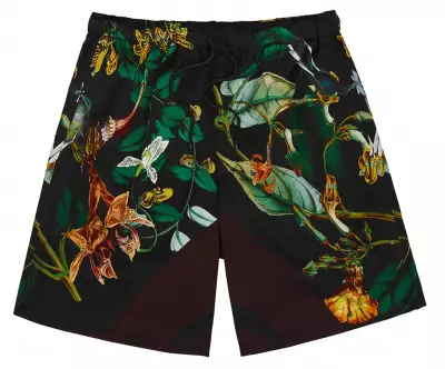 Dries Van Noten shorts