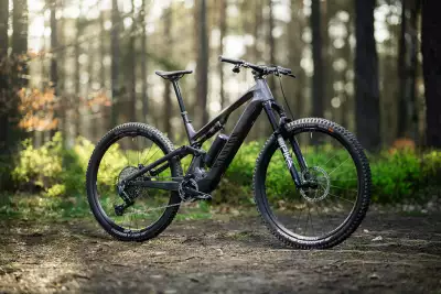 Canyon Neuron:ONfly