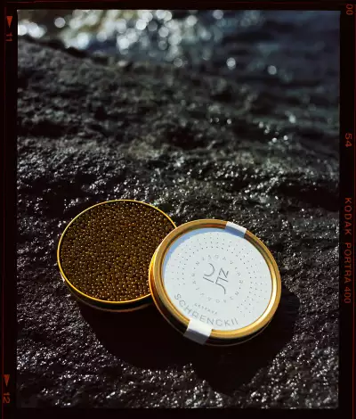 N25 Caviar N25 Caviar