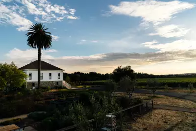 Favia Wines