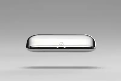 Ayres London Glasses case