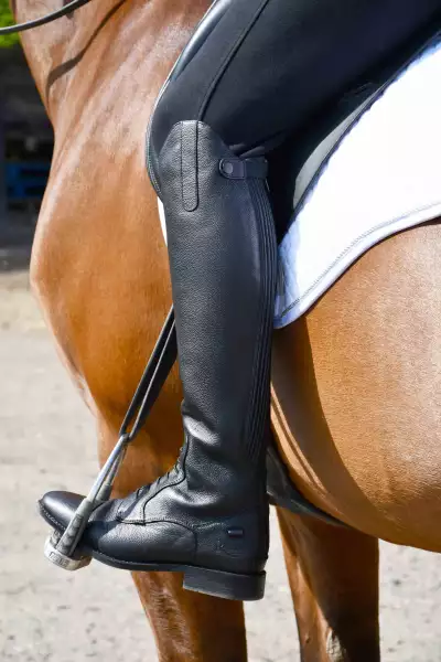 Rhinegold Equestrian