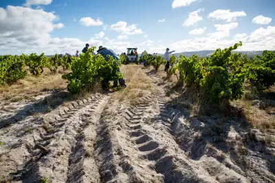 The Yangarra Estate Vineyard