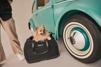 Hendrick Car Seat & Carrier
