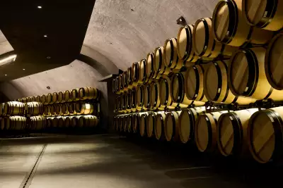 Realm Cellars' Houyi barrel room Realm Cellars' Houyi barrel room