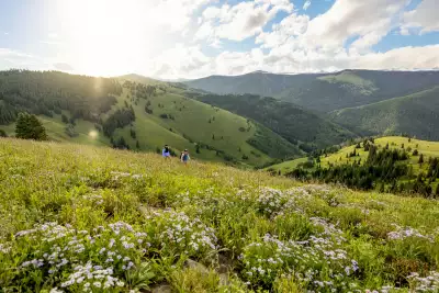 The Vail hills