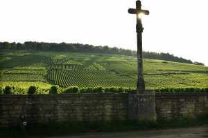 La Romanée-Conti, Burgundy’s most prized vineyard