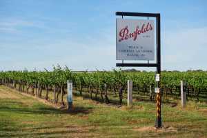 Penfolds