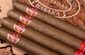 Partagas Tropicales 175th Anniversary Humidor