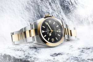Rolex Explorer 36mm 2021 watch