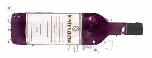 Chianti Classico Riserva Montevertine illustration