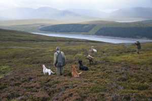 Campbells of Beauly on the moor