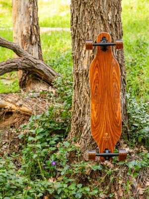 Arbor Flagship skateboard