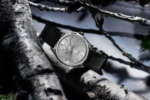 Grand Seiko Birch Bark Titanium Hi-Beat SLGW003