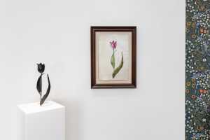 Black Tulip, a sculptural reinterpretation of a 1643 watercolour by Judith Leyster. Black Tulip, a sculptural reinterpretation of a 1643 watercolour by Judith Leyster.