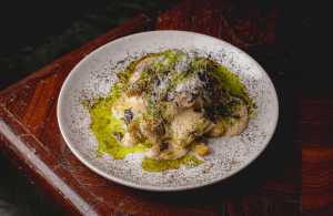 The Parakeet The Parakeet