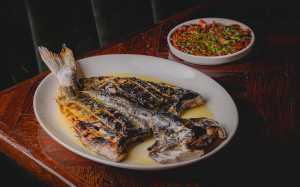 The Parakeet The Parakeet