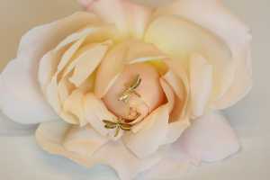 Alex Monroe Teeny Tiny collection Alex Monroe Teeny Tiny collection