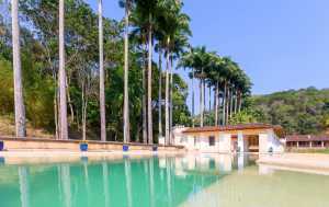 Fazenda Allian&ccedil;a