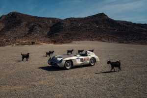 The Holy goat: The Mercedes-Benz W196S 300 SLR was never beaten in a race it finished during its short, dominant 1955 season, securing the 1955 World Sportscar Championship for Mercedes-Benz.