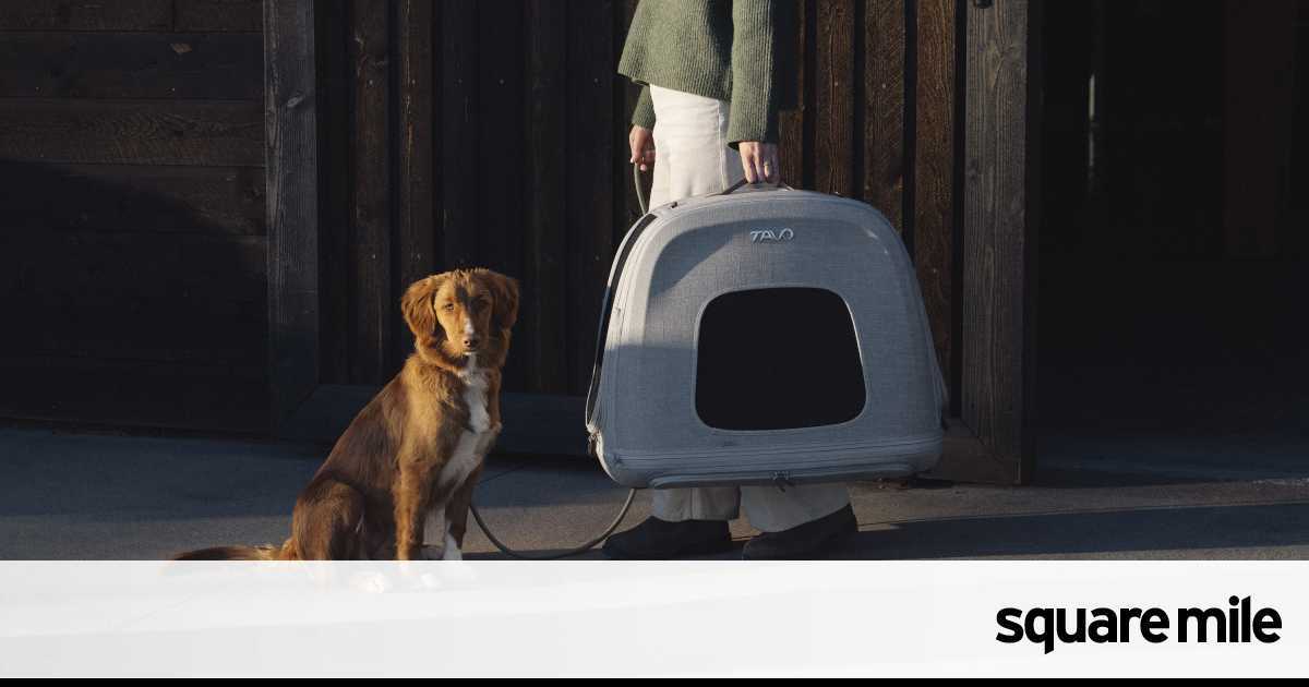 Tavo Pets is calling time on dangerous pet travel