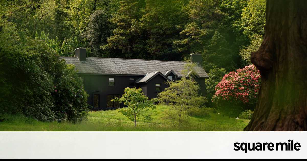 Inside Ynyshir: the two-Michelin-starred Welsh odyssey