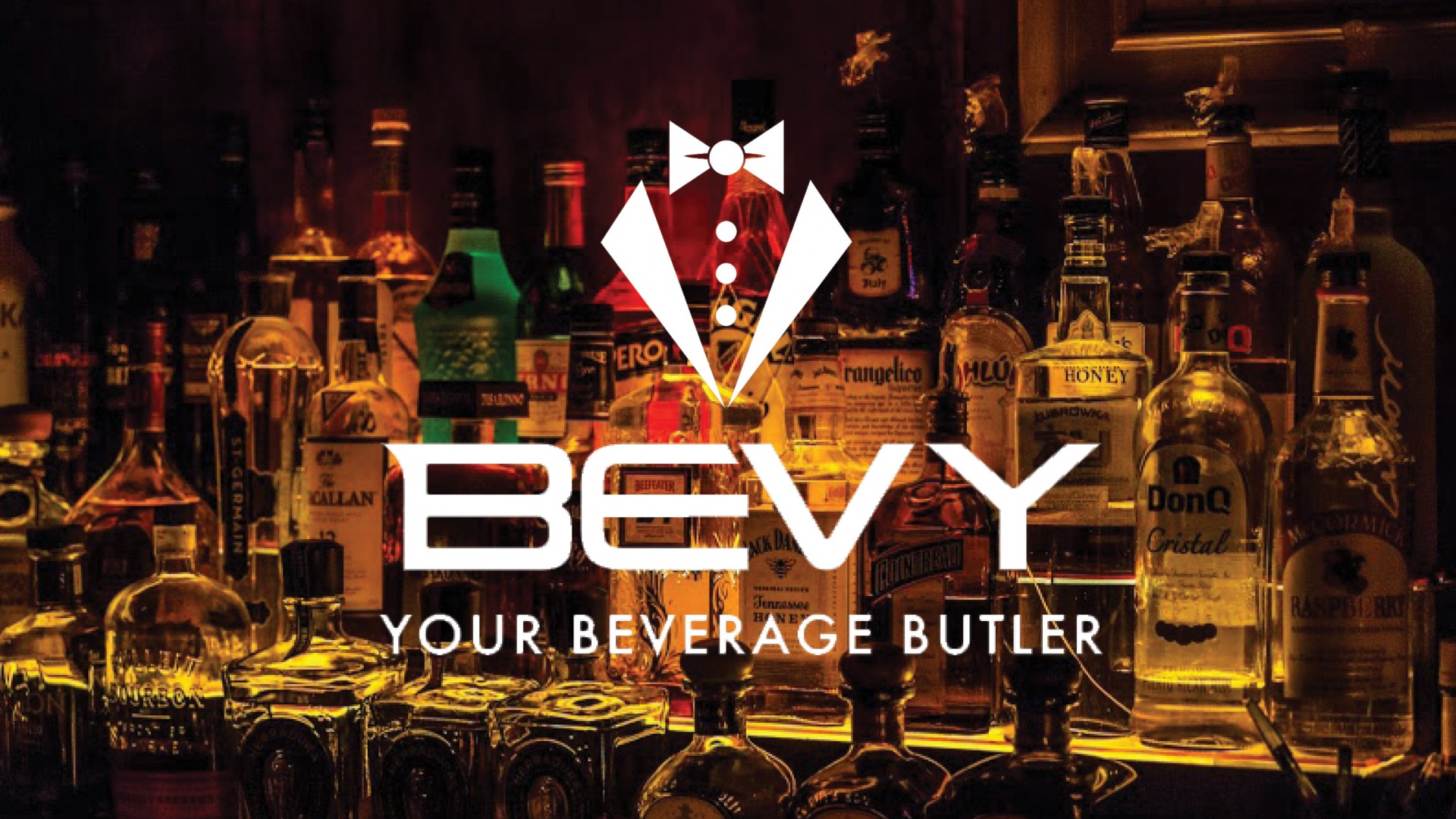 Bevy Bevy
