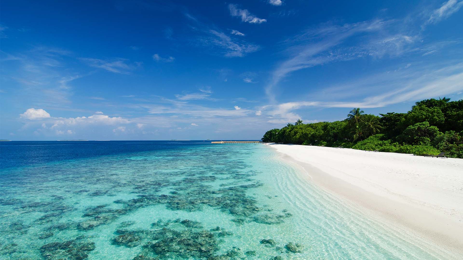 Escape to paradise Escape to paradise