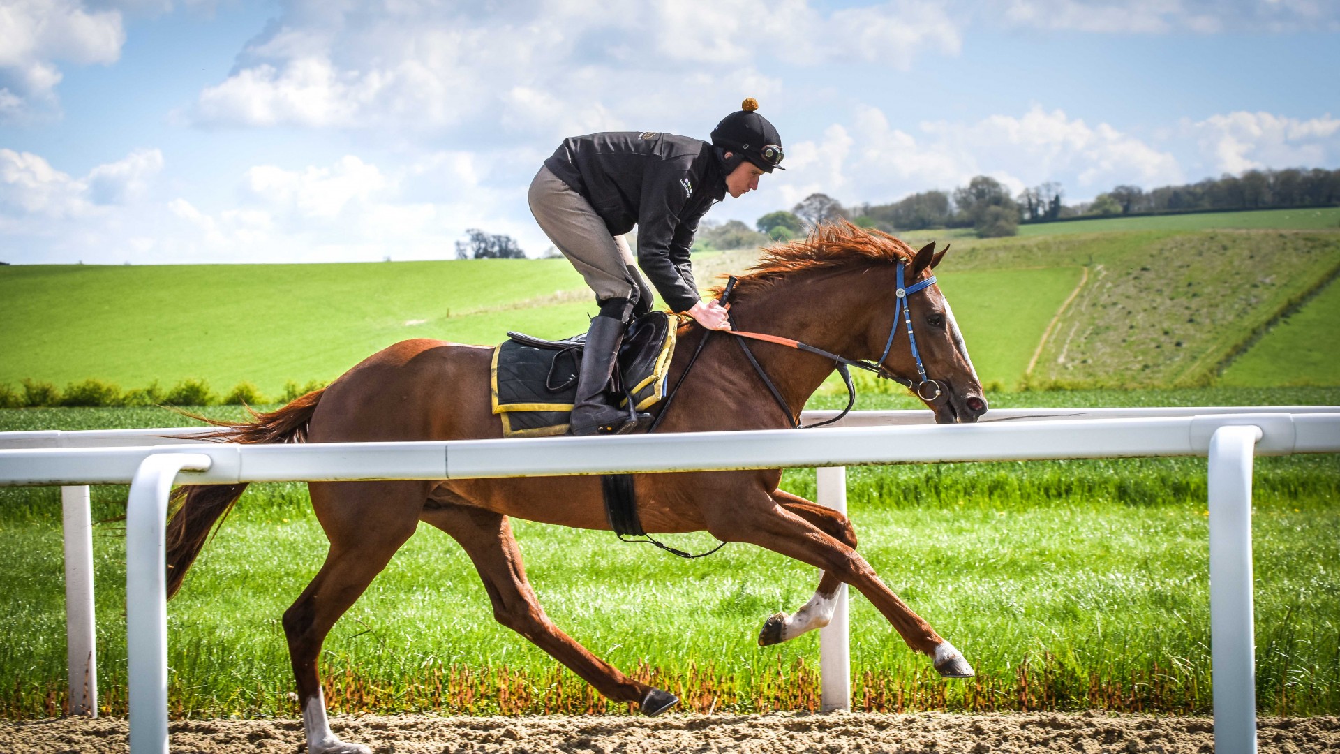How to train a racehorse Square Mile