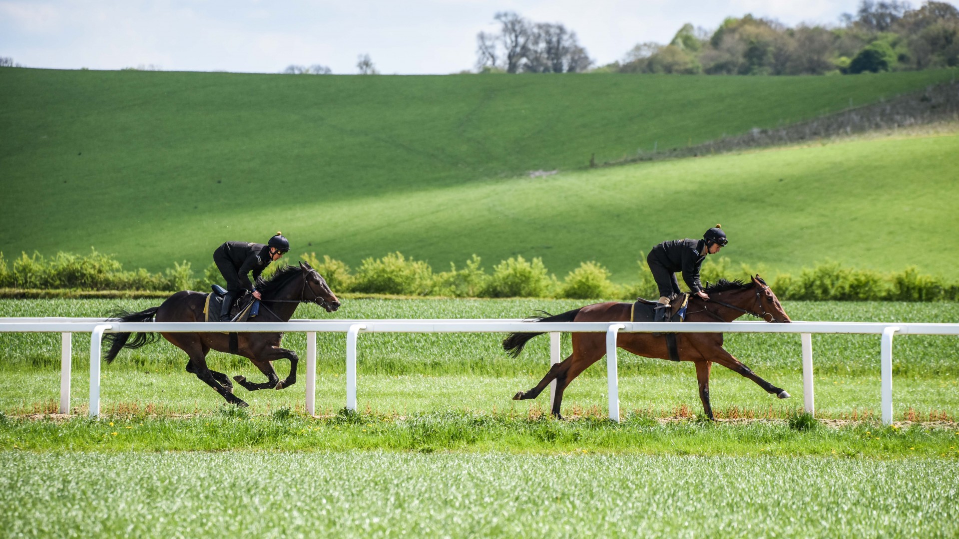 how to train a champion racehorse