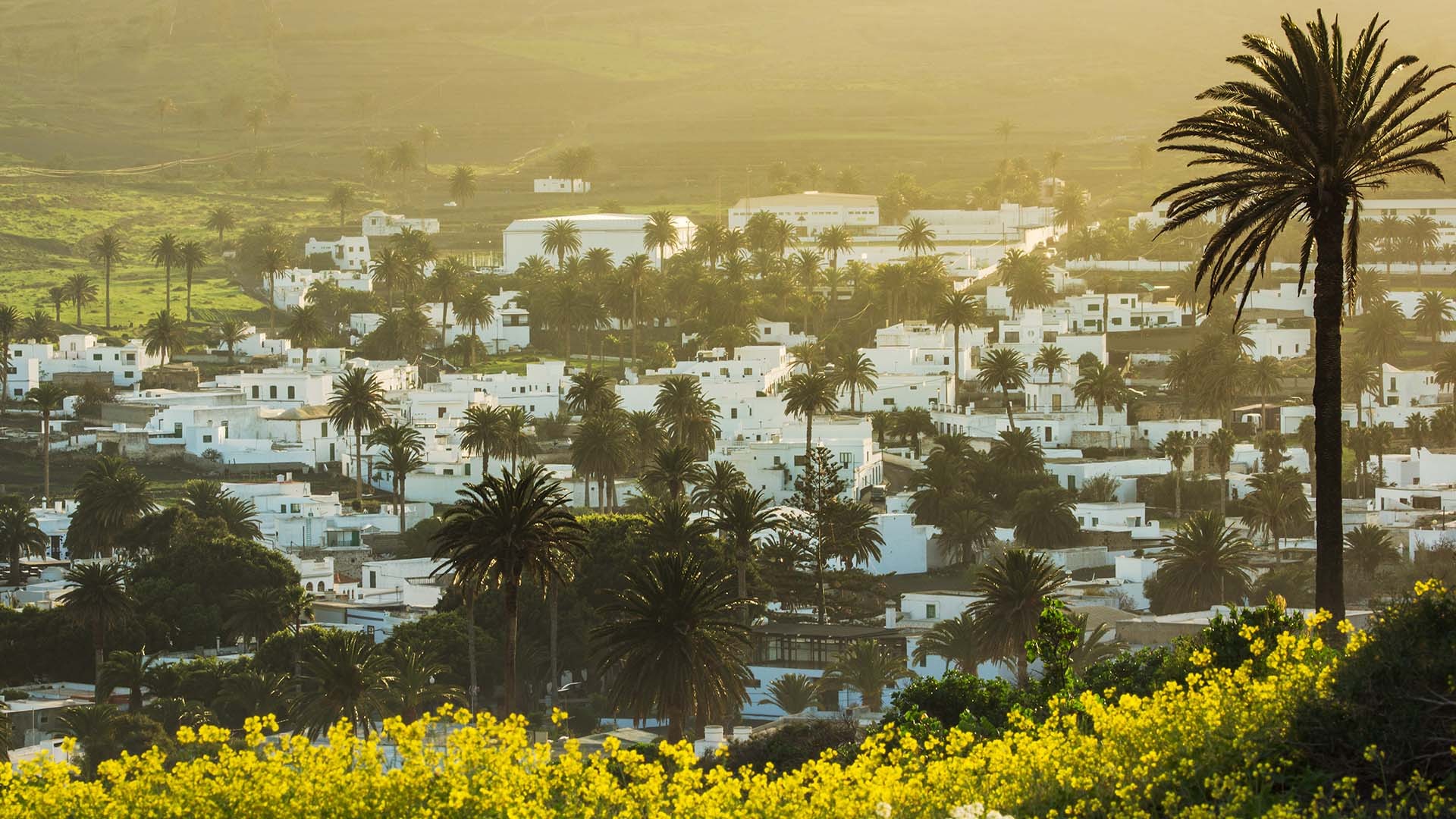 Lanzarote travel guide the best places to visit in Lanzarote Square