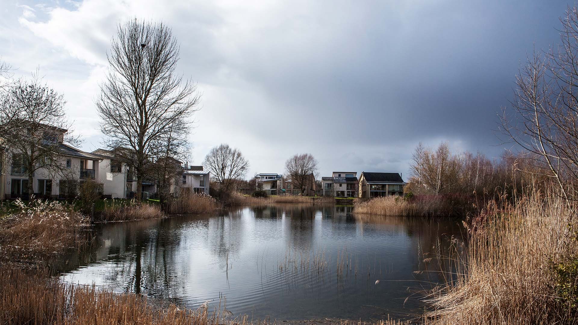 Lower Mill Estate Square Mile