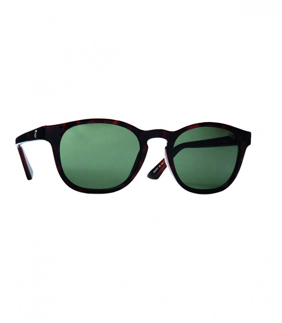 The sunglasses The sunglasses