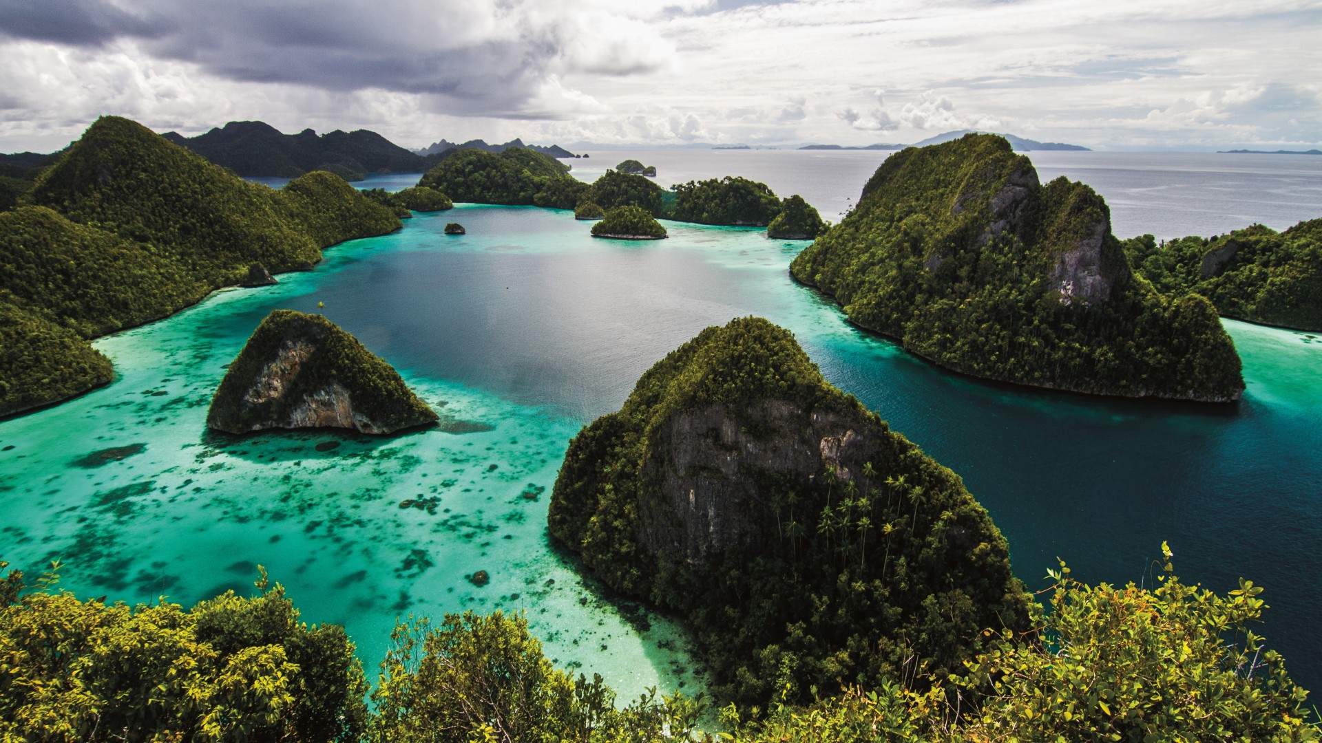 Natural Vegetation Of Papua New Guinea