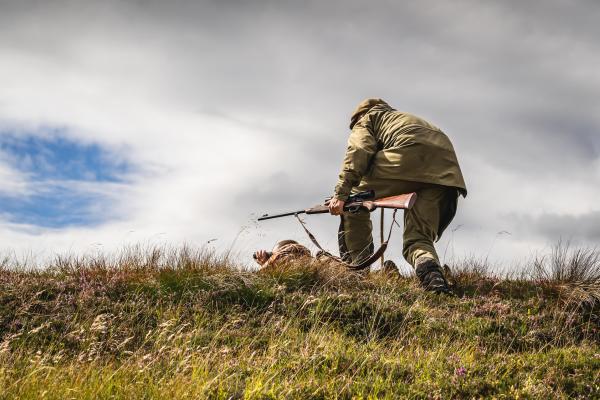 The Macnab – stag poaching