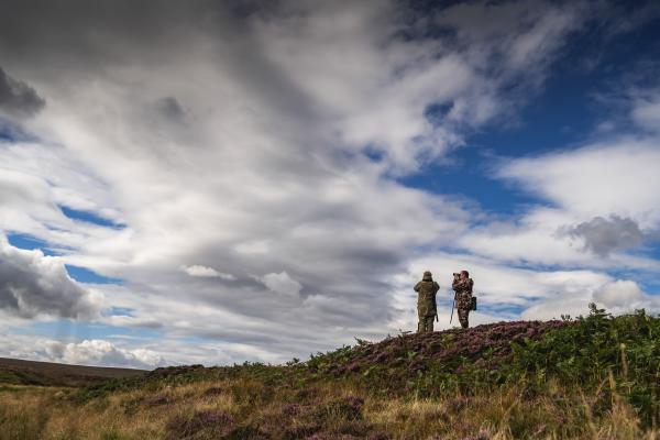 The Macnab – stag poaching