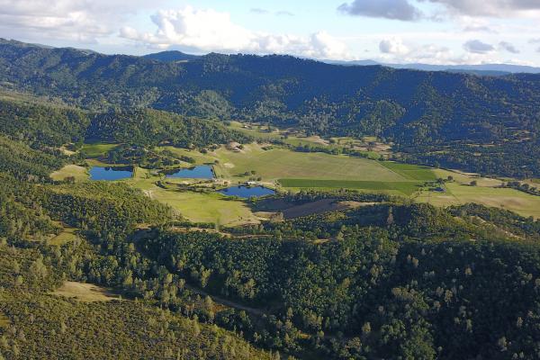 Oeno Cervantes Family Vineyard