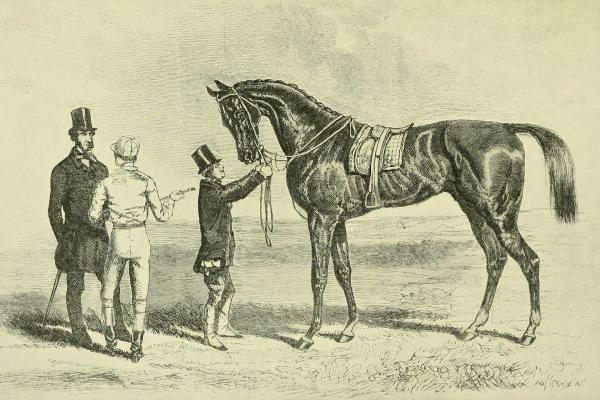 Wanota, winner of the Ascot Stakes in 1850