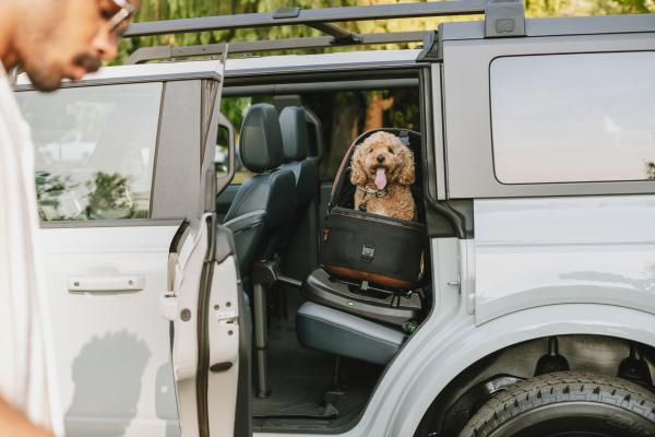 Tavo pet protection system